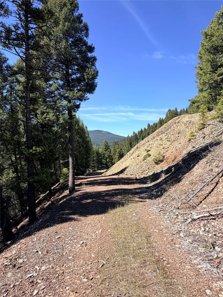 93 Northstar Lane Philipsburg MT 59858