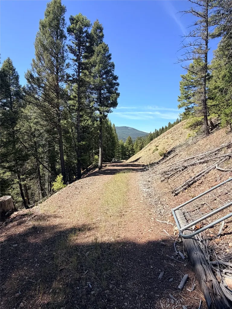 93 Northstar Lane Philipsburg MT 59858