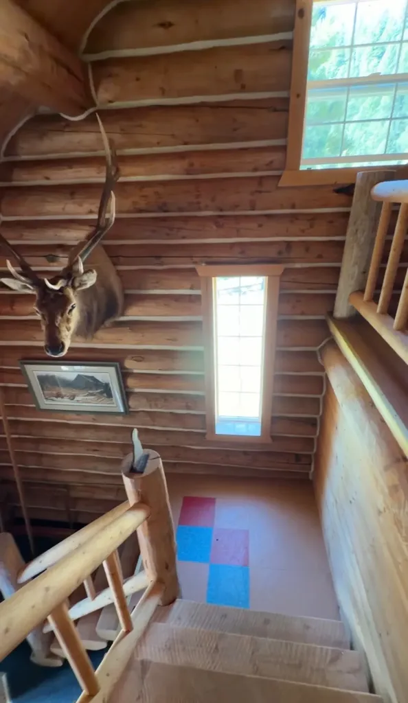 93 Northstar Lane Philipsburg MT 59858