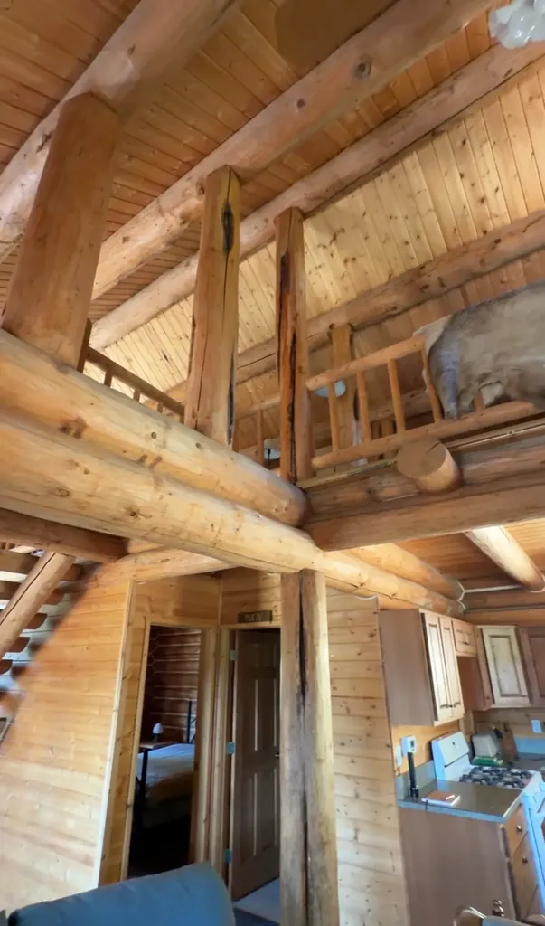93 Northstar Lane Philipsburg MT 59858