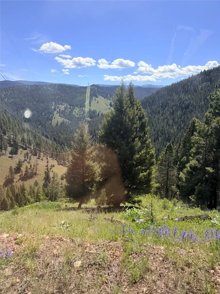 93 Northstar Lane Philipsburg MT 59858