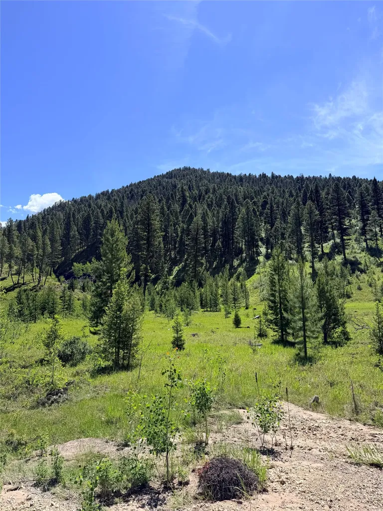93 Northstar Lane Philipsburg MT 59858