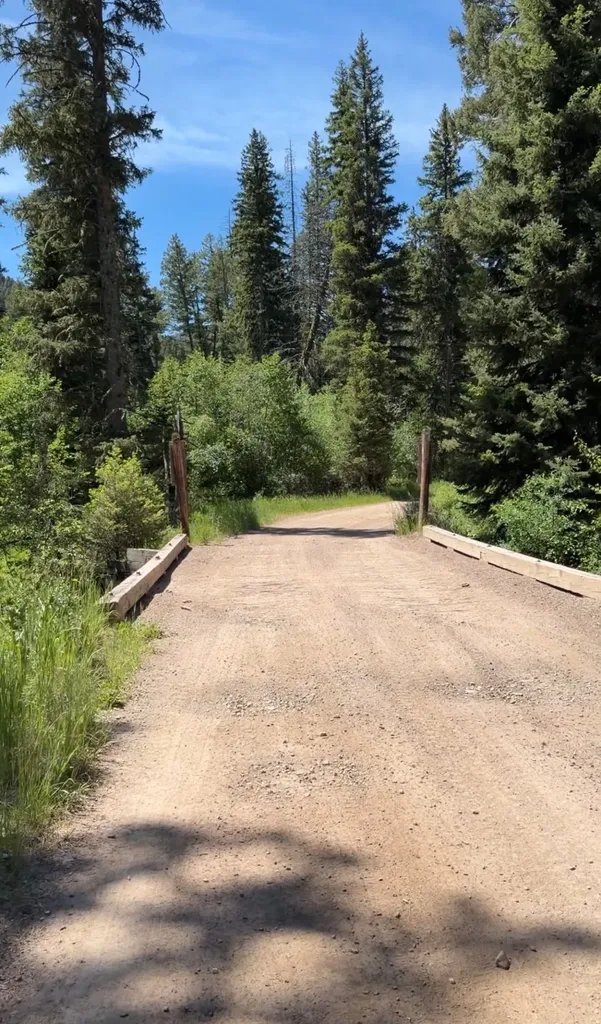 93 Northstar Lane Philipsburg MT 59858