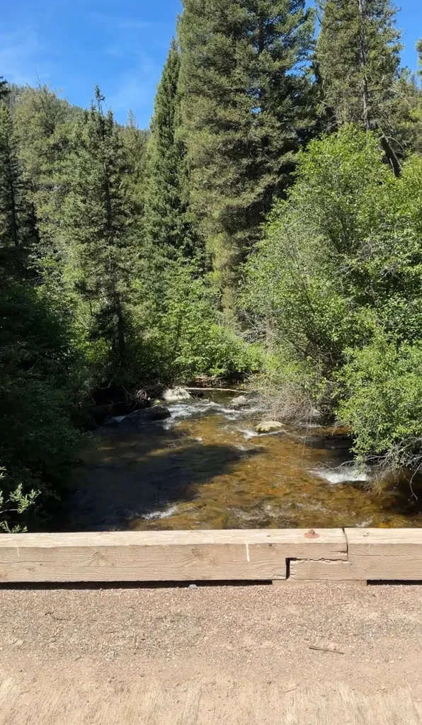 93 Northstar Lane Philipsburg MT 59858