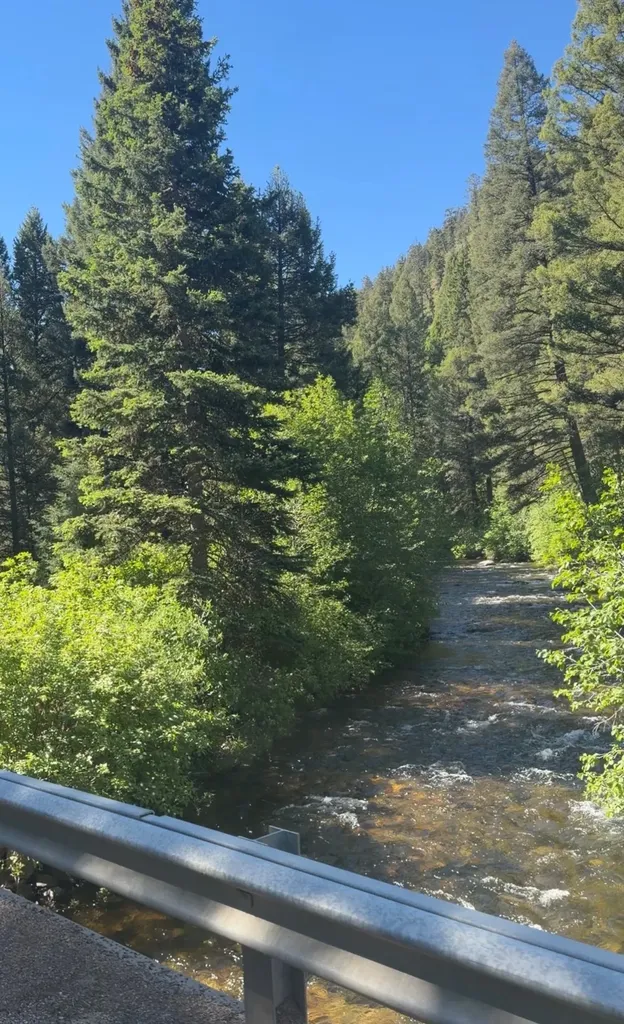 93 Northstar Lane Philipsburg MT 59858