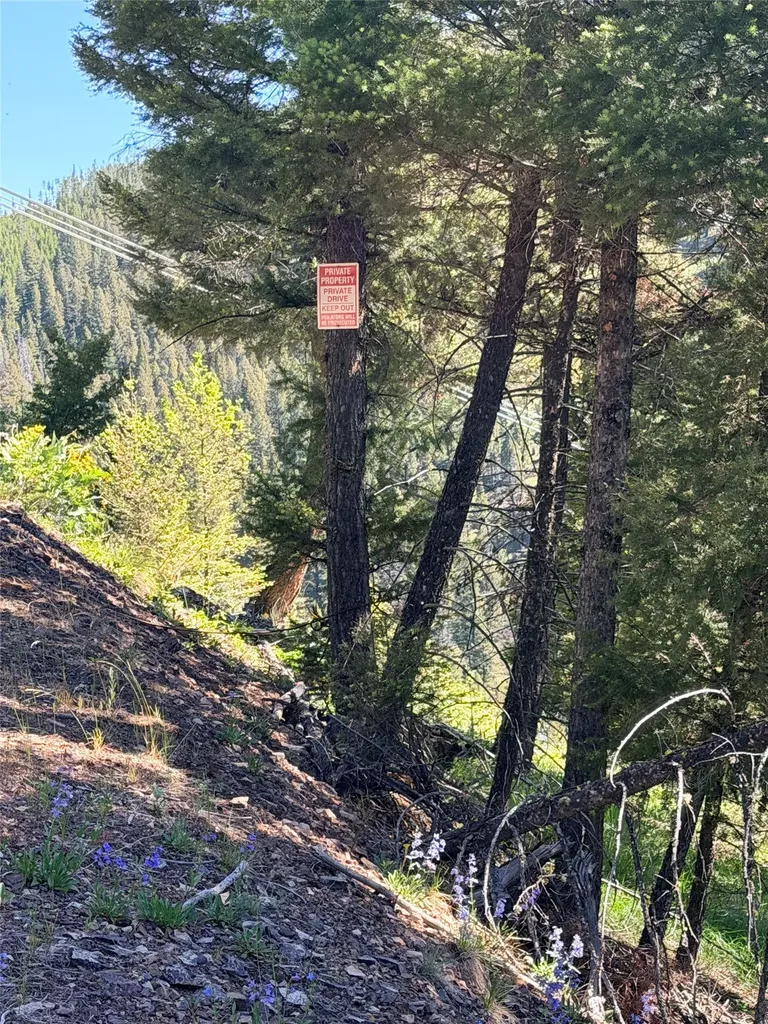93 Northstar Lane Philipsburg MT 59858