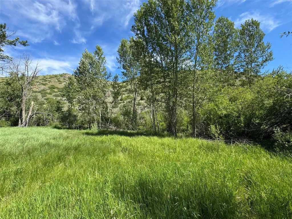 Tbd Creekside Lane Helena MT 59601