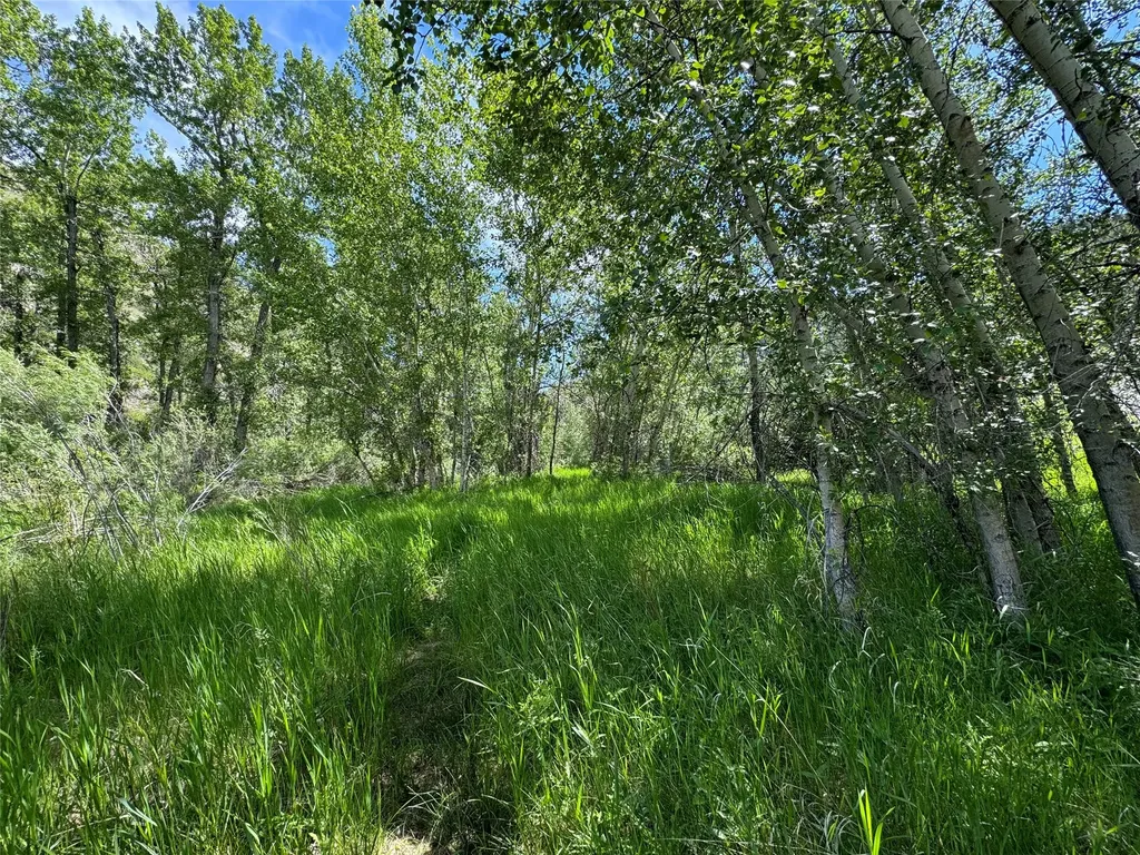 Tbd Creekside Lane Helena MT 59601