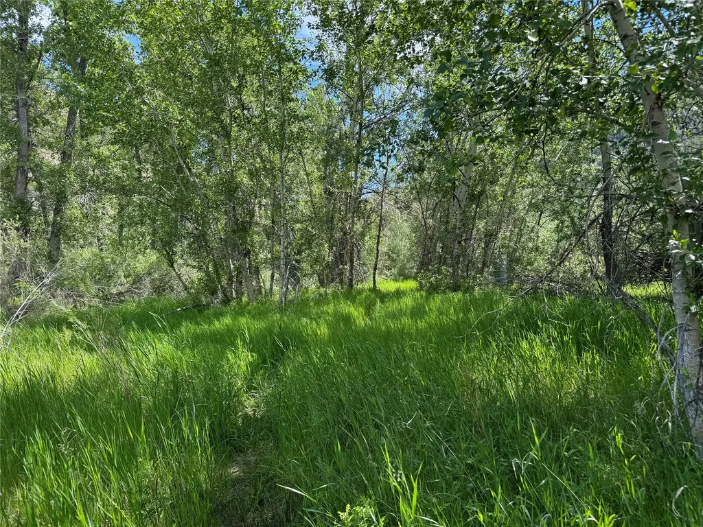 Tbd Creekside Lane Helena MT 59601