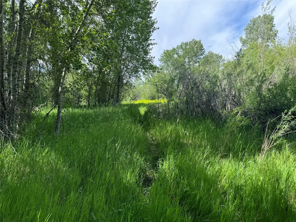 Tbd Creekside Lane Helena MT 59601