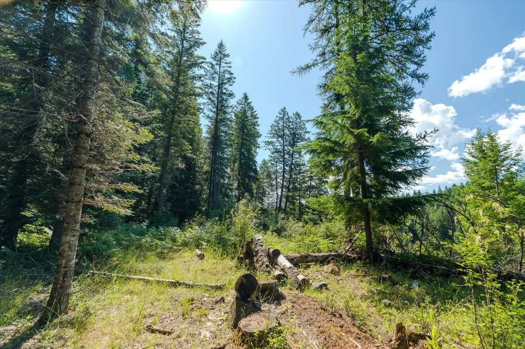 212 Mt Highway 200 Heron MT 59844