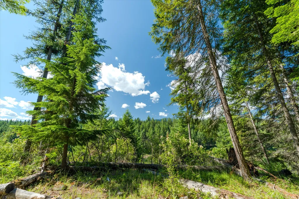 212 Mt Highway 200 Heron MT 59844