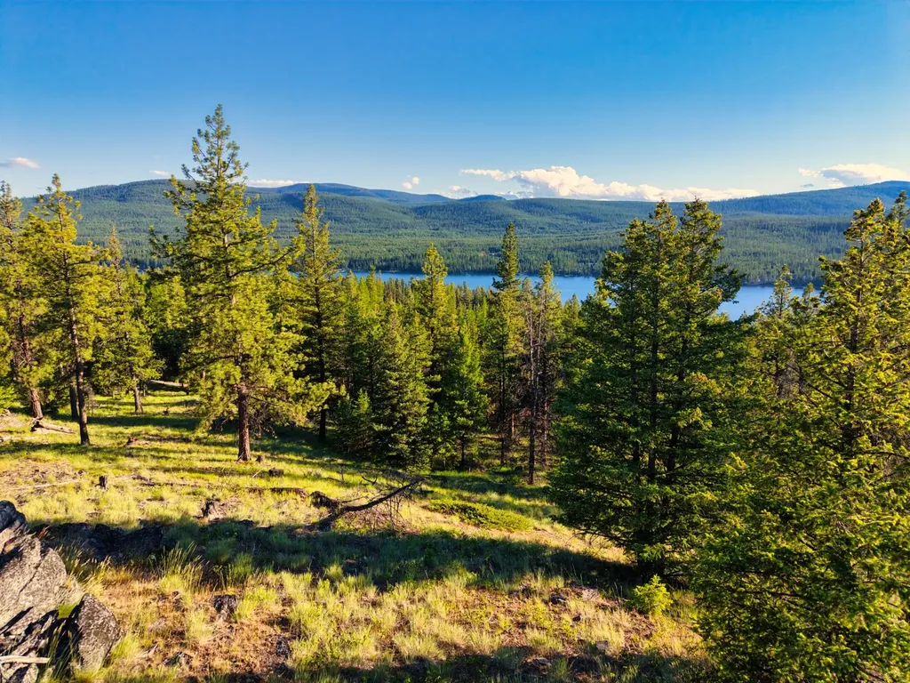 12021 Us Highway 2 W Marion MT 59925