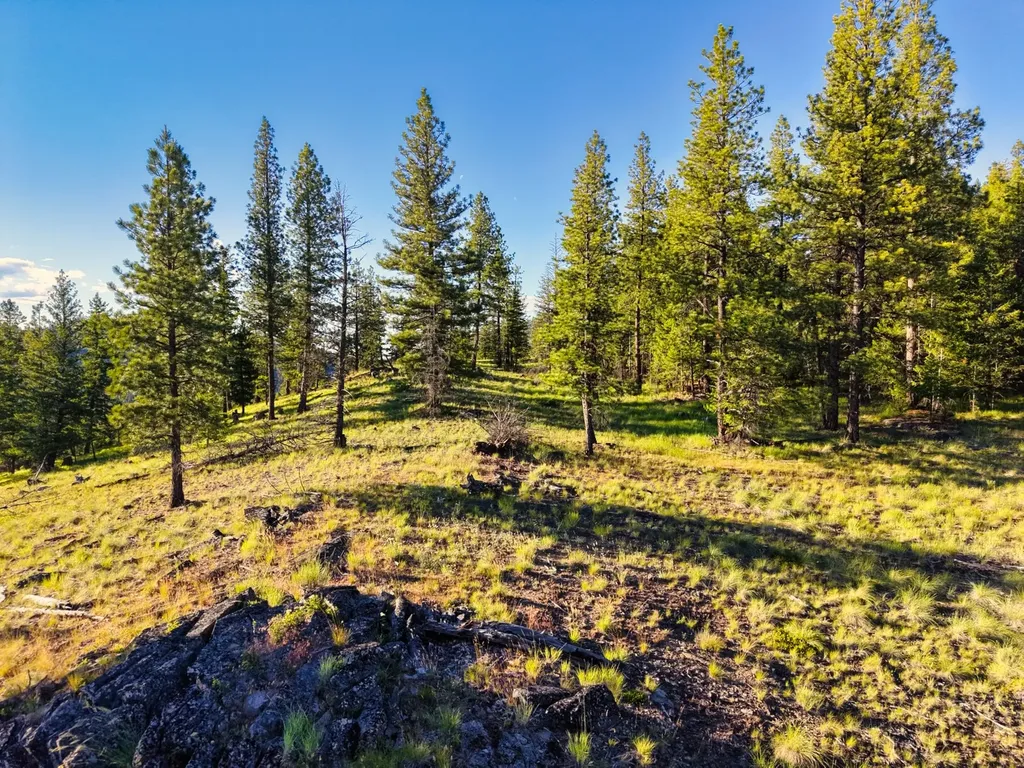 12021 Us Highway 2 W Marion MT 59925