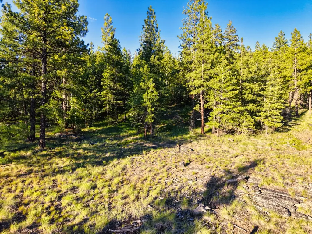 12021 Us Highway 2 W Marion MT 59925