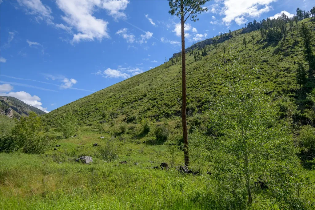 15520 Dry Gulch Road Clinton MT 59825