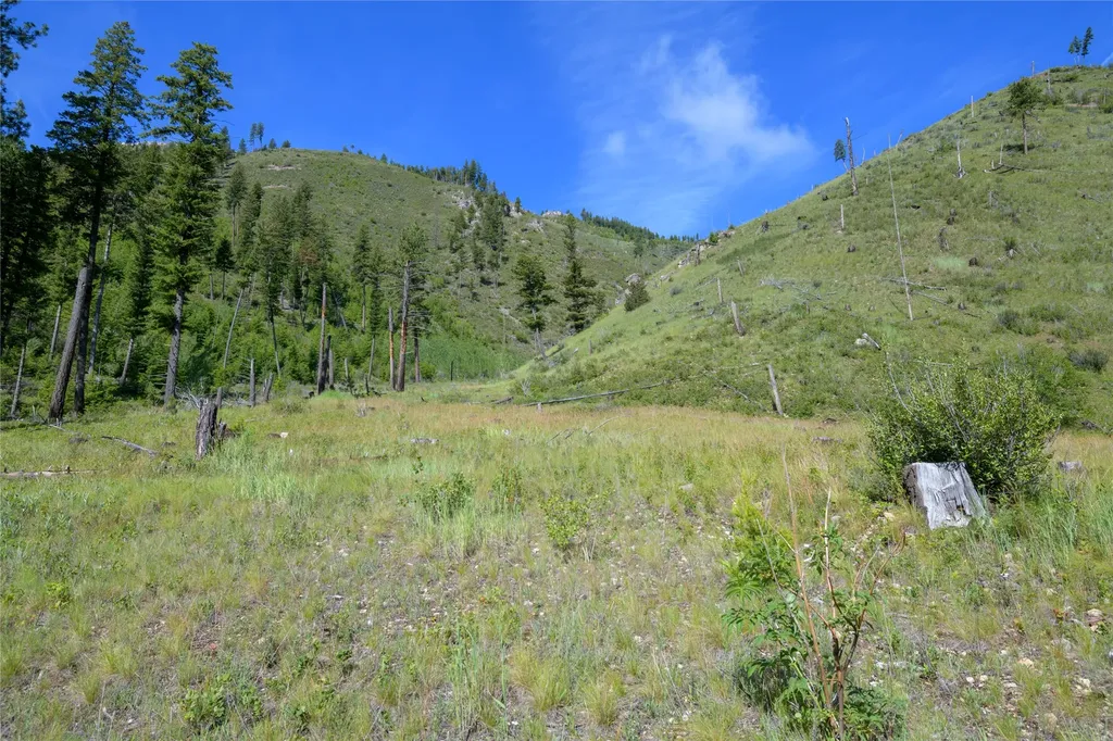 15520 Dry Gulch Road Clinton MT 59825