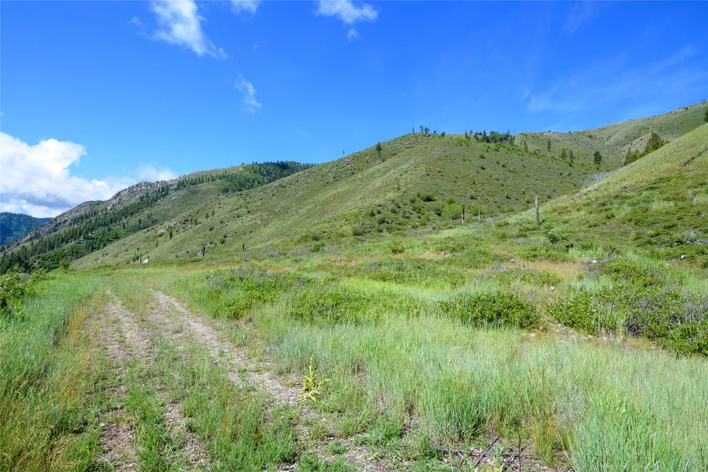 15520 Dry Gulch Road Clinton MT 59825