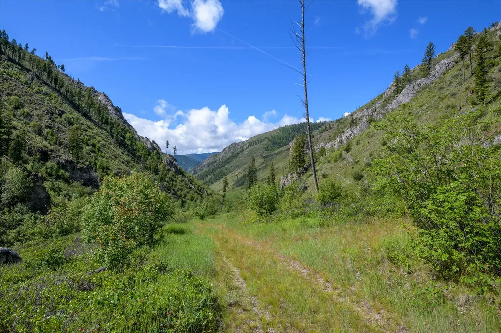 15520 Dry Gulch Road Clinton MT 59825