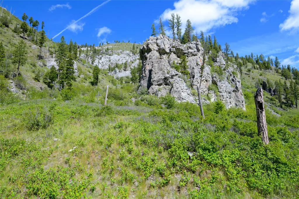 15520 Dry Gulch Road Clinton MT 59825