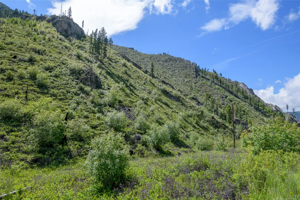 15520 Dry Gulch Road Clinton MT 59825
