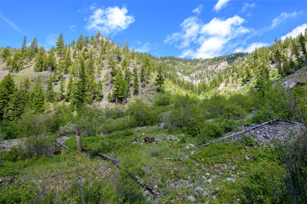 15520 Dry Gulch Road Clinton MT 59825