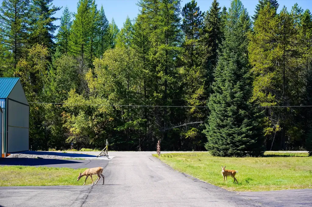 305 Ferndale Drive Bigfork MT 59911