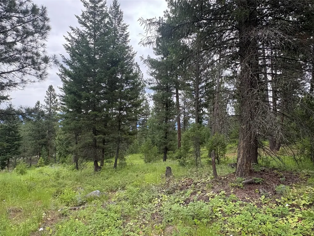 65 Elmhurst Way Eureka MT 59917