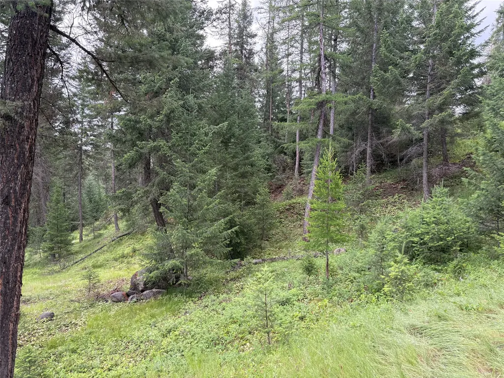 65 Elmhurst Way Eureka MT 59917