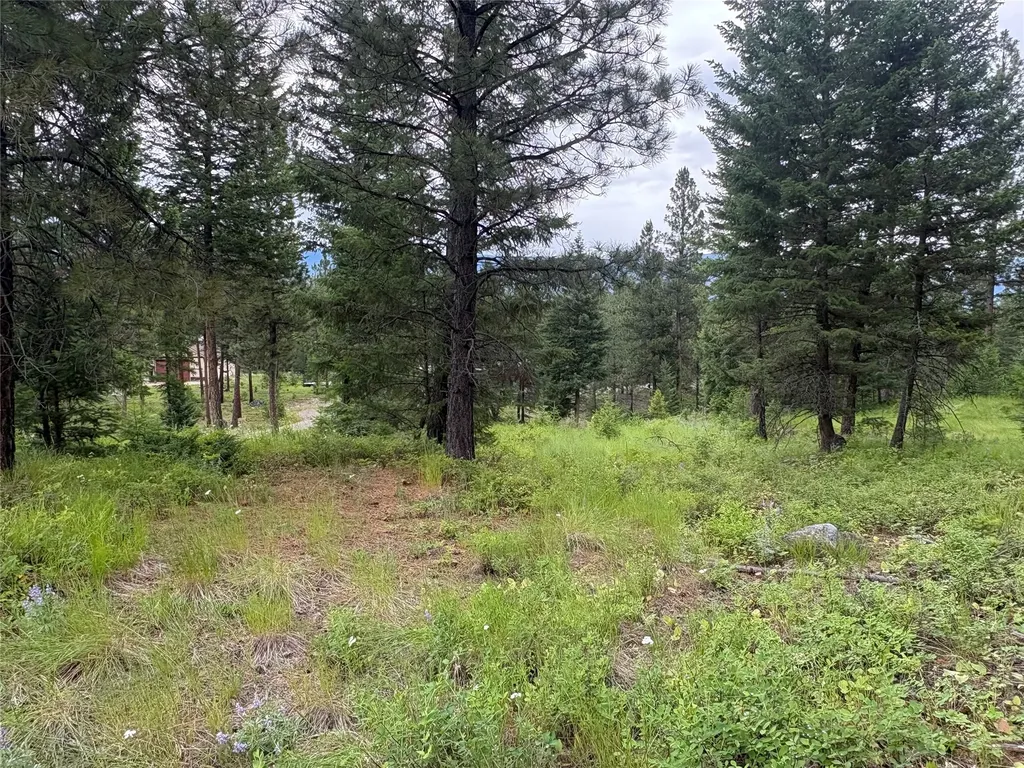 65 Elmhurst Way Eureka MT 59917