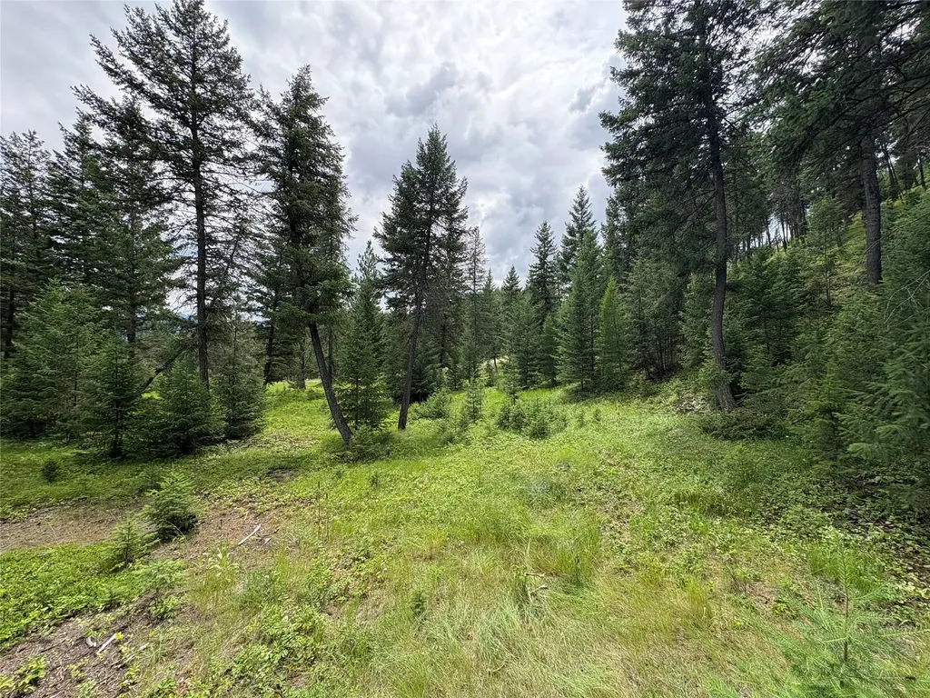 65 Elmhurst Way Eureka MT 59917