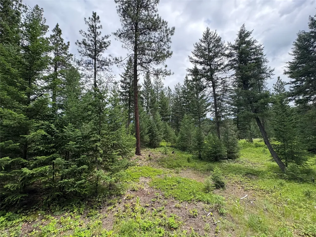 65 Elmhurst Way Eureka MT 59917