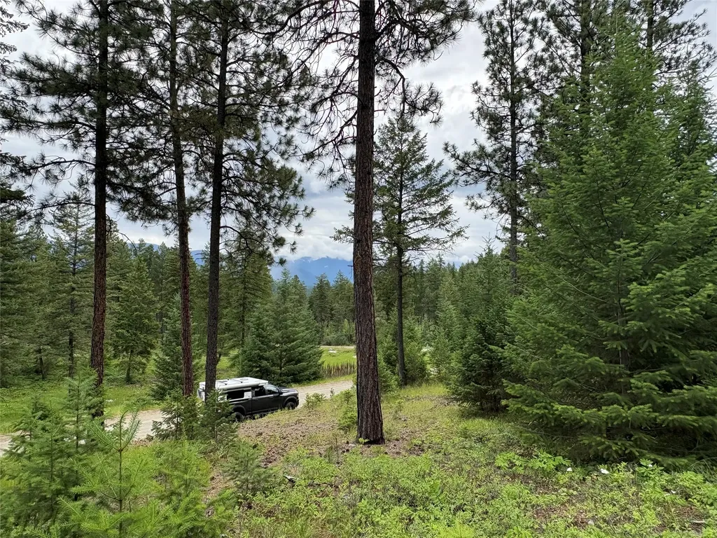 65 Elmhurst Way Eureka MT 59917