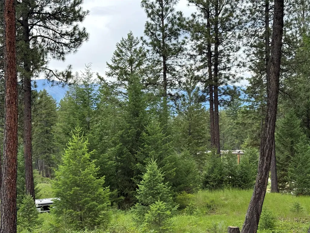 65 Elmhurst Way Eureka MT 59917