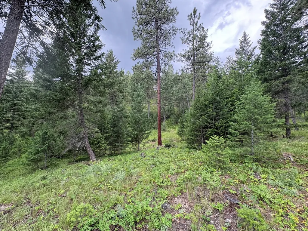 65 Elmhurst Way Eureka MT 59917