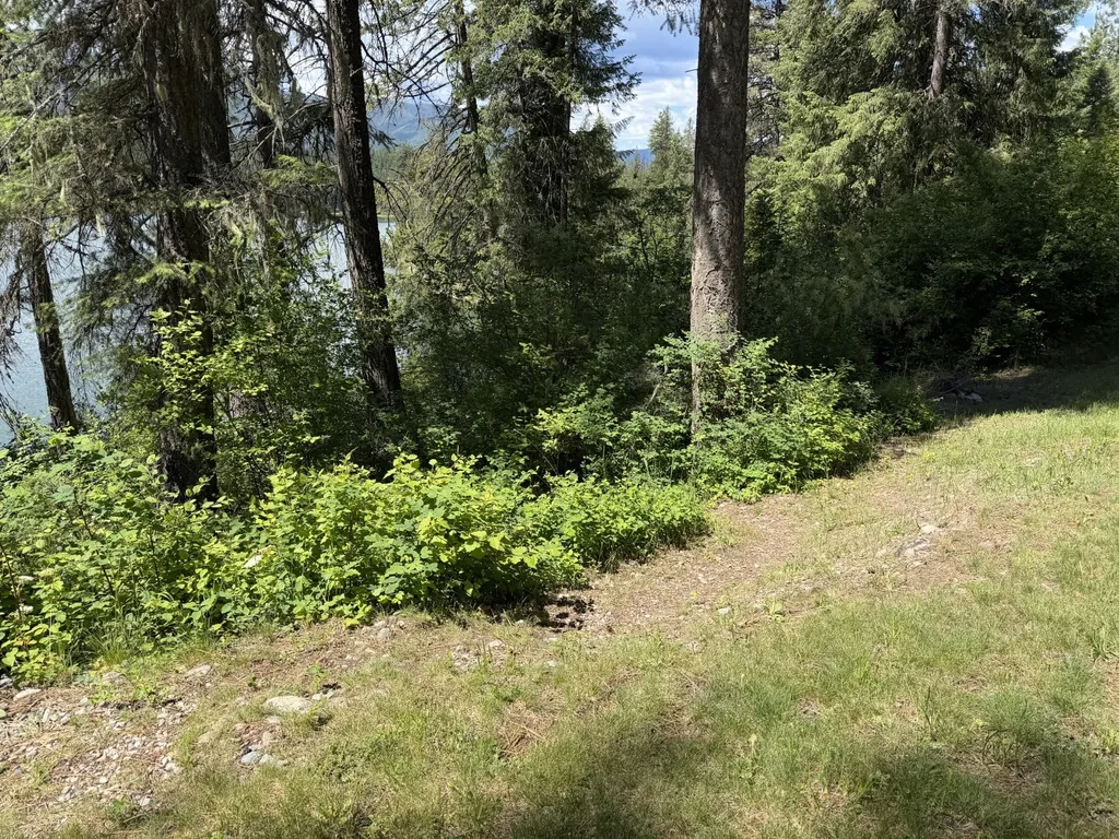 7 Bridge View Lane Heron MT 59844