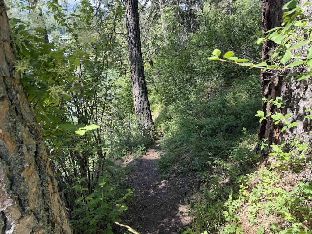 7 Bridge View Lane Heron MT 59844