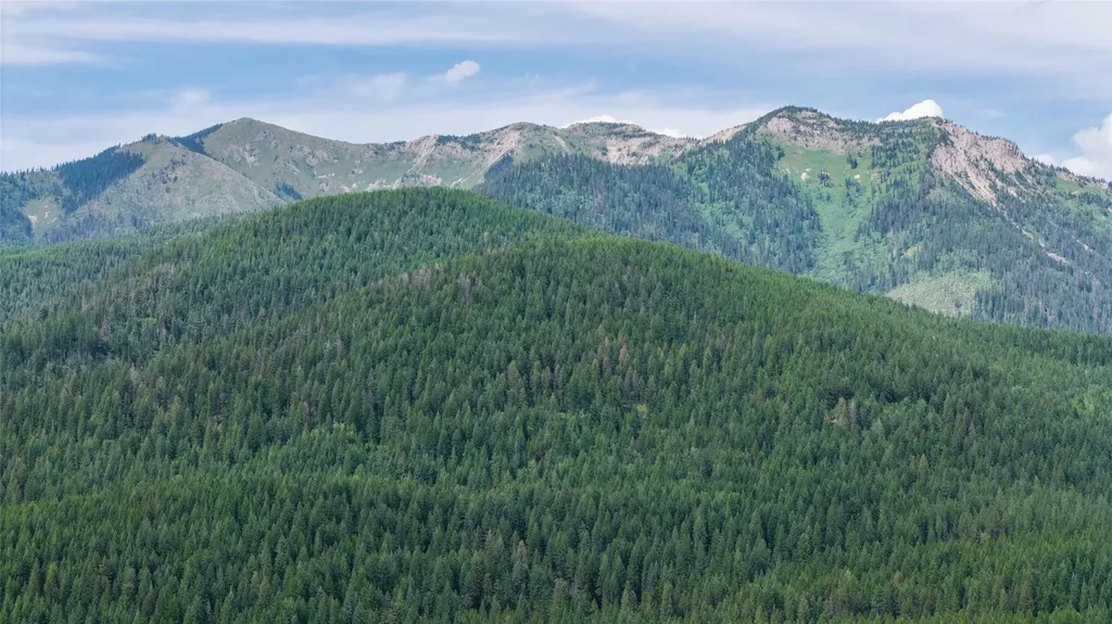 166 Larch Lane Kalispell MT 59901