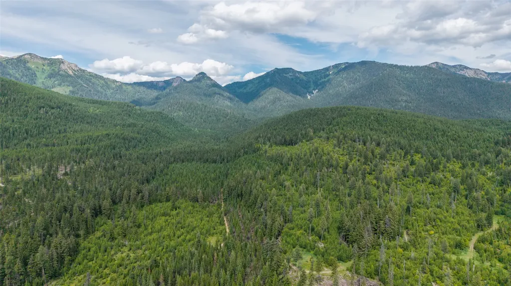 166 Larch Lane Kalispell MT 59901