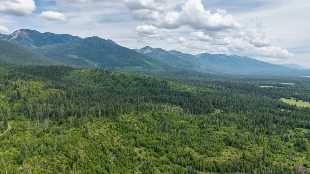 166 Larch Lane Kalispell MT 59901
