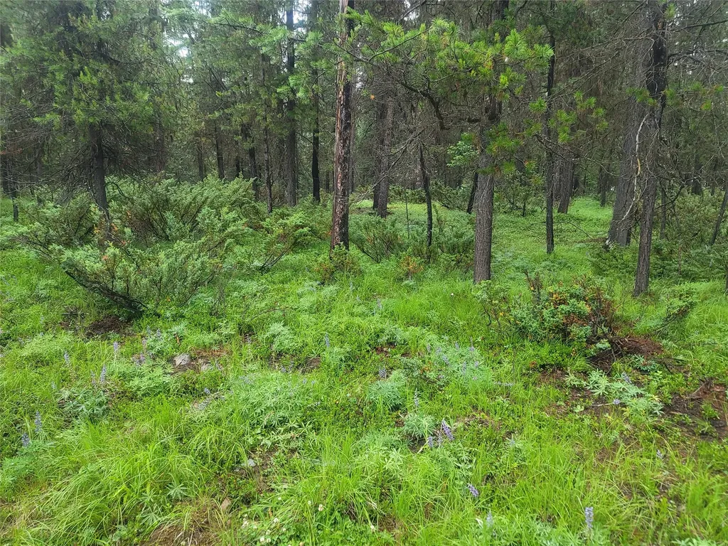 104 Lone Wolf Trail Yaak MT 59935