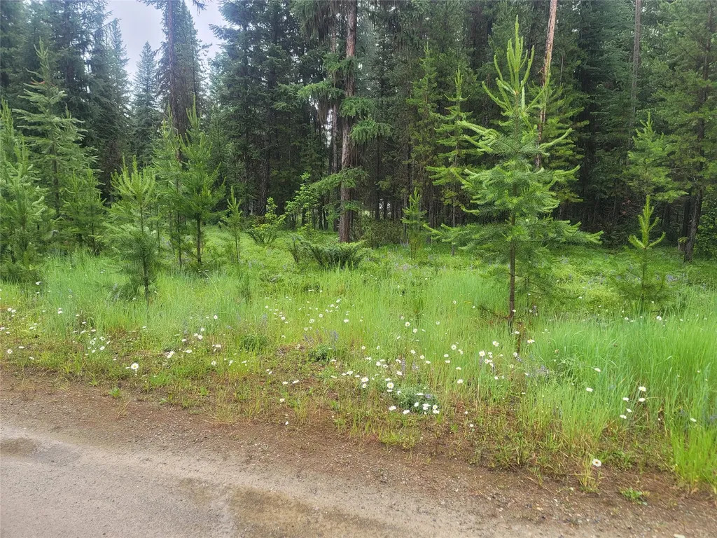 104 Lone Wolf Trail Yaak MT 59935