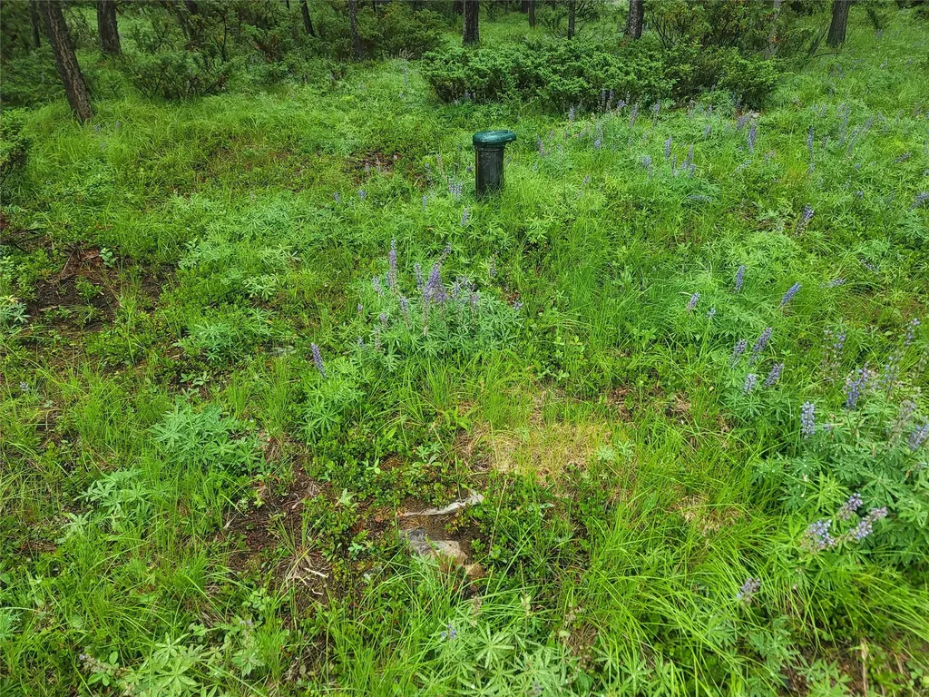 104 Lone Wolf Trail Yaak MT 59935