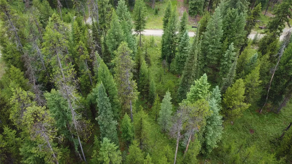 104 Lone Wolf Trail Yaak MT 59935