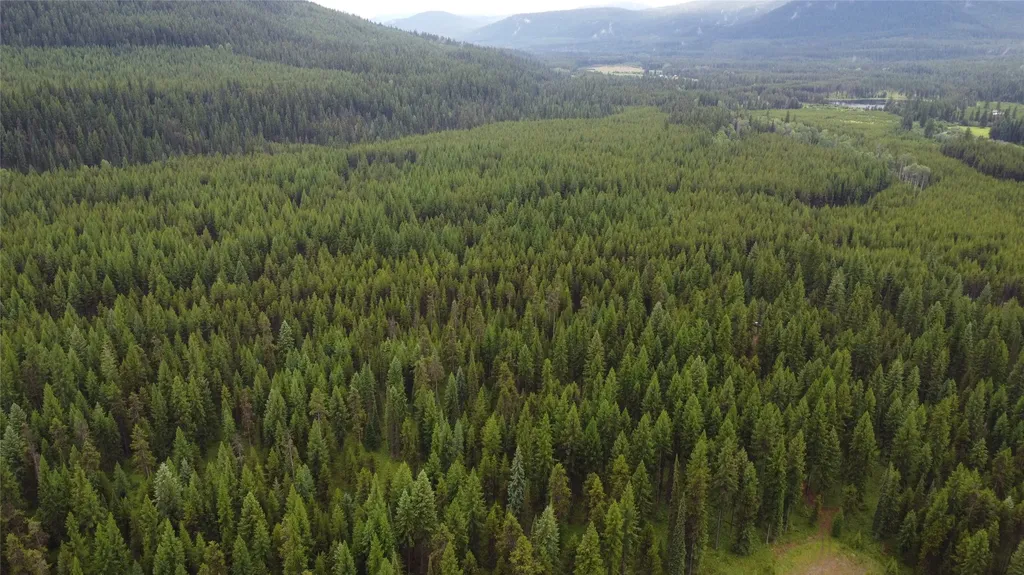 104 Lone Wolf Trail Yaak MT 59935