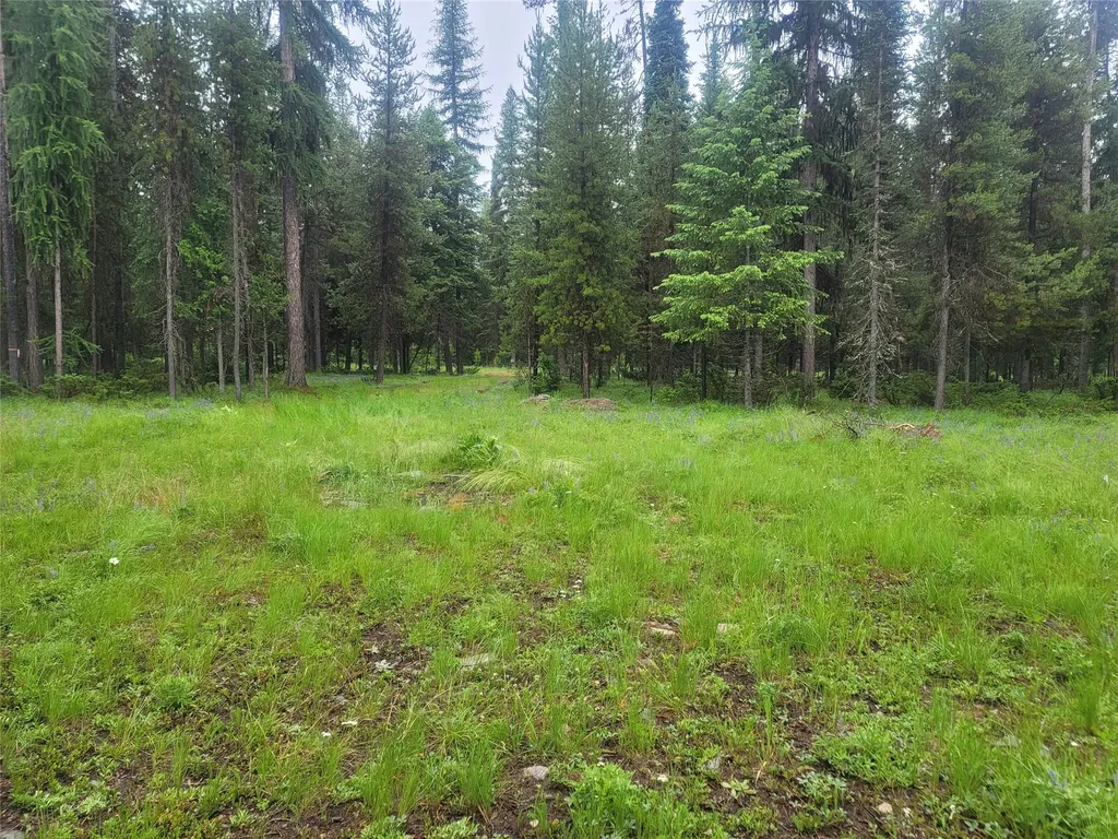 104 Lone Wolf Trail Yaak MT 59935