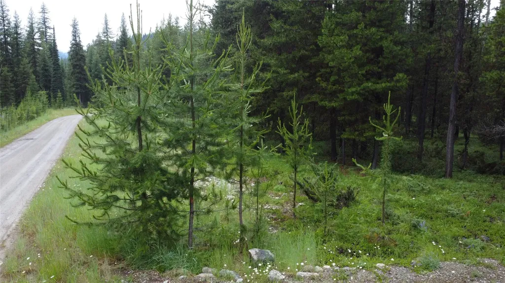 104 Lone Wolf Trail Yaak MT 59935