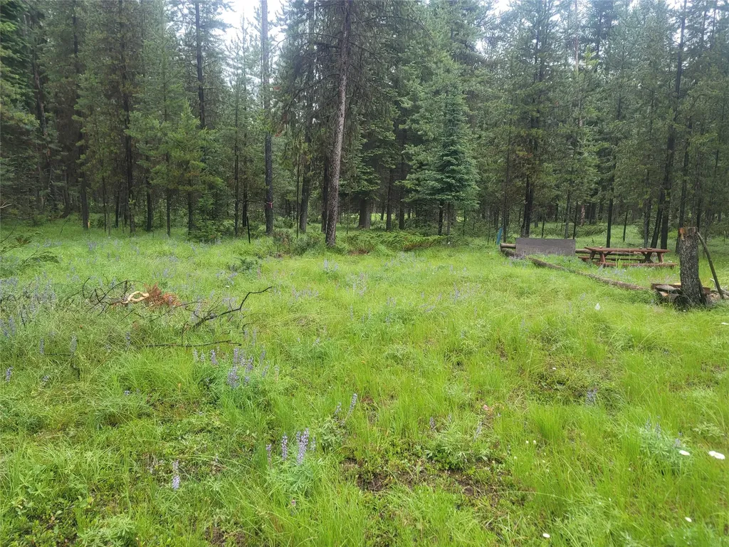 104 Lone Wolf Trail Yaak MT 59935