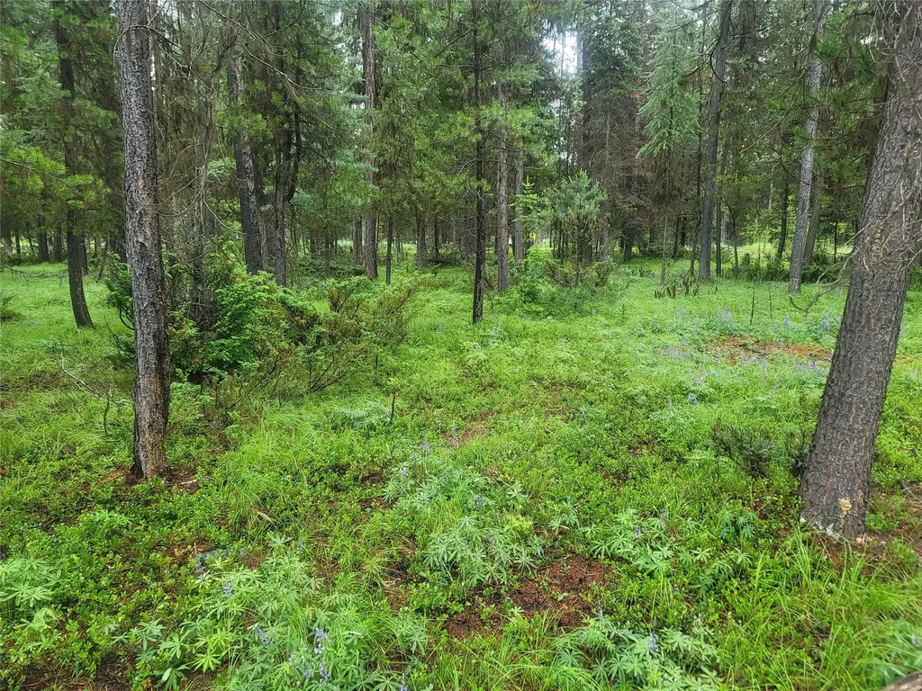 104 Lone Wolf Trail Yaak MT 59935