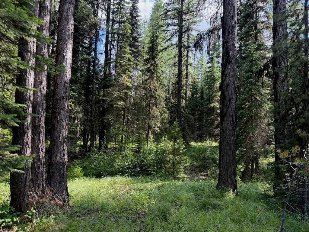310 Moose Creek Road Polebridge MT 59928